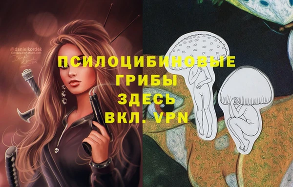 бутират Гусев