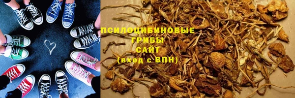 метадон Дмитриев