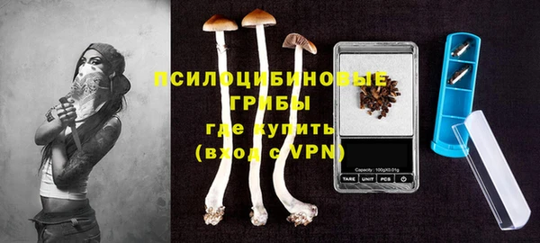 метадон Дмитриев