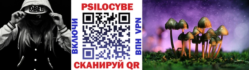Псилоцибиновые грибы мухоморы  купить  сайты  МЕГА ONION  Окуловка 